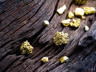 pure gold nuggets on wood